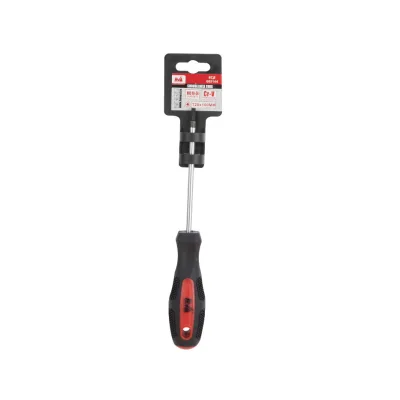 Surubelnita Torx T20, 100 mm Evotools 605144